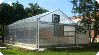 Casa de Vegetação para Plantas Geneticamente Modificadas