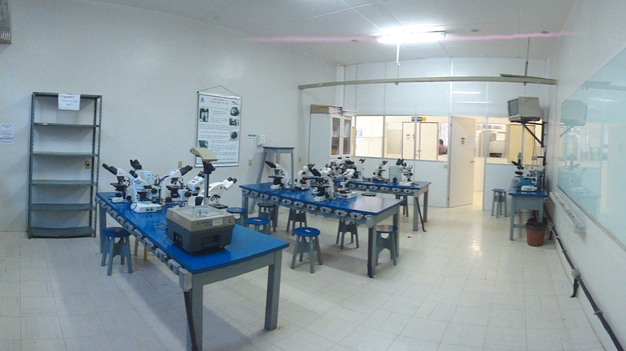 Laboratório De  Microscopia III