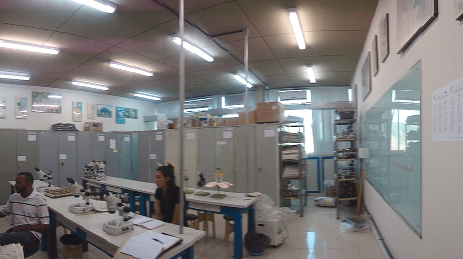 Herbário UESC