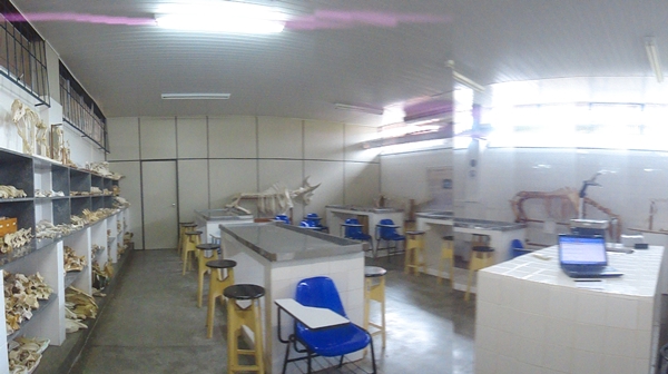Laboratório De Anatomia De Animais Domésticos