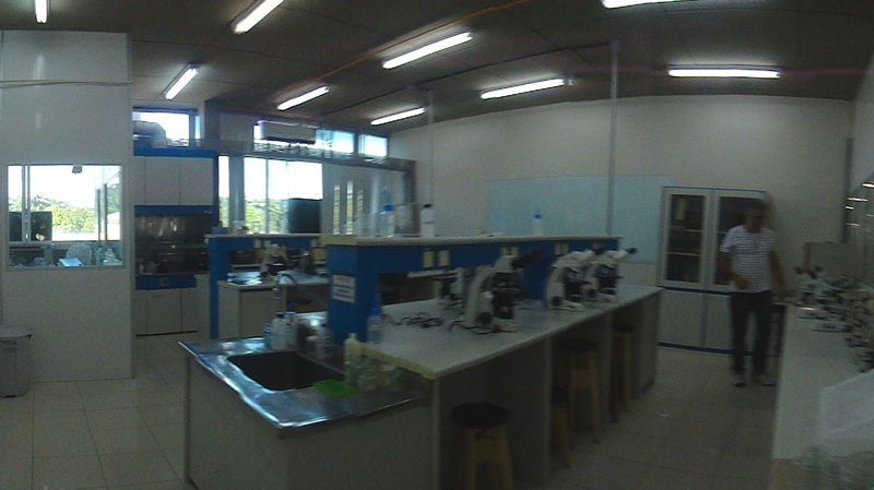 Laboratório De  Morfologia Vegetal