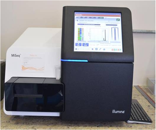 MiSeq (Next Generation Sequencing, NGS) 