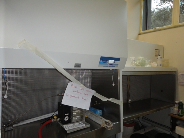 Capela De Fluxo Laminar