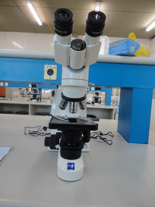 Microscópio 