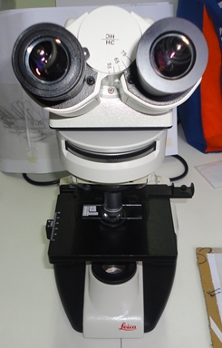 Microscópio 