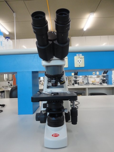 Microscópio 