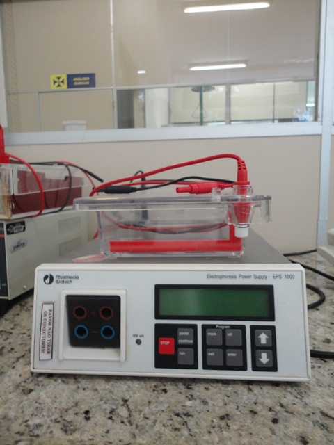 Eletroforese 